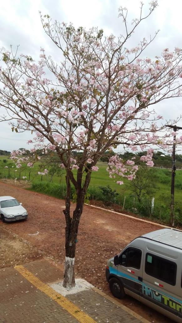 Pousada Cris Garden Bed&Breakfast Foz do Iguacu Bagian luar foto